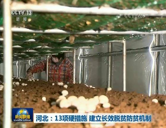 河北：13项硬措施 建立长效脱贫防贫机制