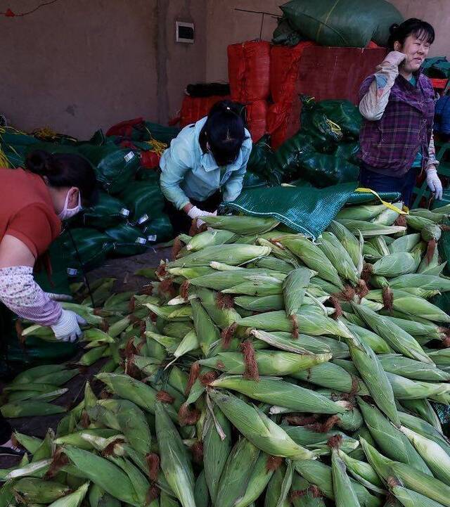 ​“一起卖”满月：造血式助农打通渠道 促销售猛增