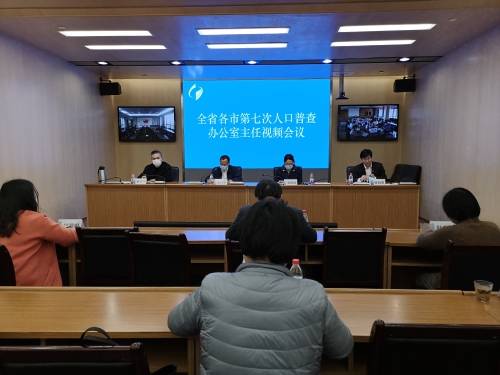 省人普办召开全省各市第七次人口普查办公室主任视频会议