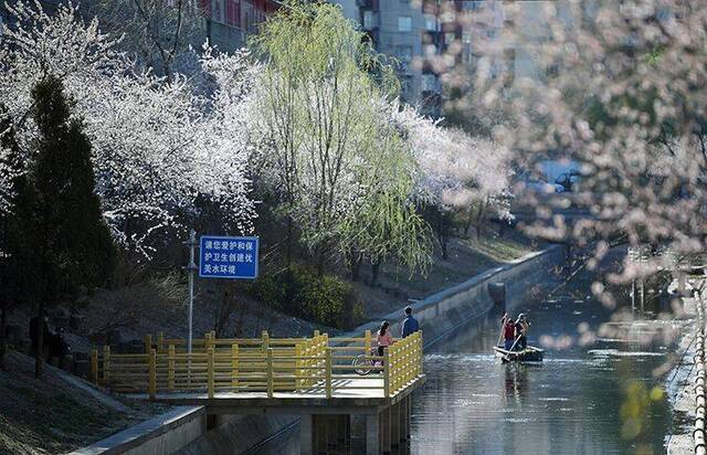 赏春  东四环花海争艳 扮靓二道沟河畔