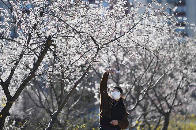 赏春  东四环花海争艳 扮靓二道沟河畔