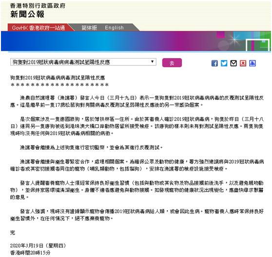 又一例！香港渔护署：一德国狼狗新冠病毒检测呈阳性