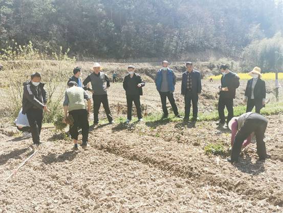 “春分”时节 防疫春耕两手抓 春暖花开可待时