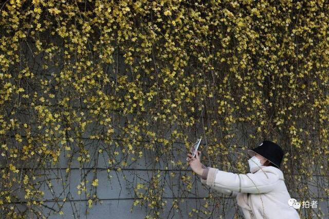 春分时节至，“悬日”暖人间