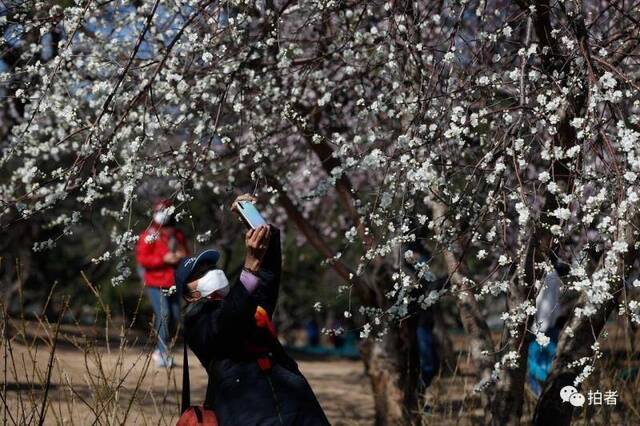 春分时节至，“悬日”暖人间