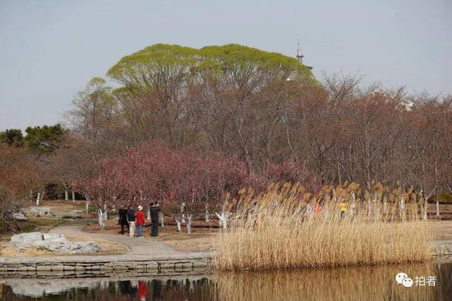 春分时节至，“悬日”暖人间