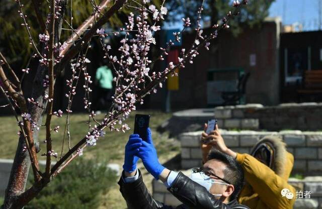 春分时节至，“悬日”暖人间