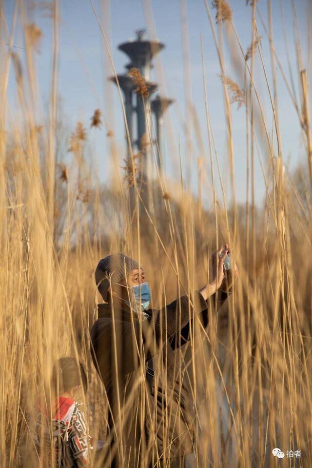 春分时节至，“悬日”暖人间