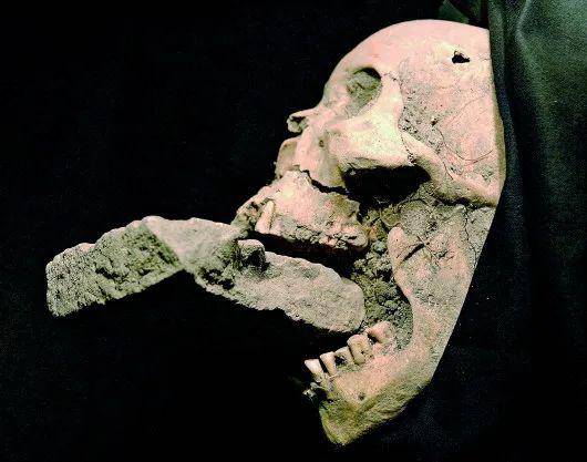 这张由佛罗伦萨大学提供的未标明拍摄日期的照片显示一口中塞有砖块的女性遗骸。意大利考古学者在距离威尼斯东北大约3公里的新拉扎雷托岛发现这具口中塞有砖块的女性遗骸。佛罗伦萨大学一名人类学家认为，这一发现有助于了解“吸血鬼”传说的由来。中世纪的人视“吸血鬼”为“黑死病”等瘟疫的元凶。当时的医学和宗教文献记载，人们认为，“吸血鬼”传播瘟疫后，吸食人的血肉，借以积蓄力量后“重生”。因此人们在疑为“吸血鬼”化身的尸体口中塞入砖块等“不可食用”物，以避免“吸血鬼”“进食”后“重生”。新华社资料片