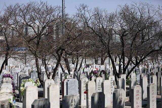 预约祭扫开放首日 北京1.6万余人现场扫墓｜组图