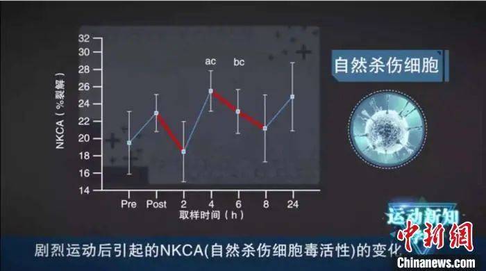 剧烈运动后引起的自然杀伤细胞毒活性变化。北体大北体传媒提供