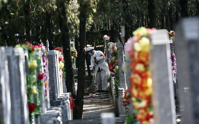 代为祭扫的工作人员正在清扫墓地。摄新京报记者郑新洽