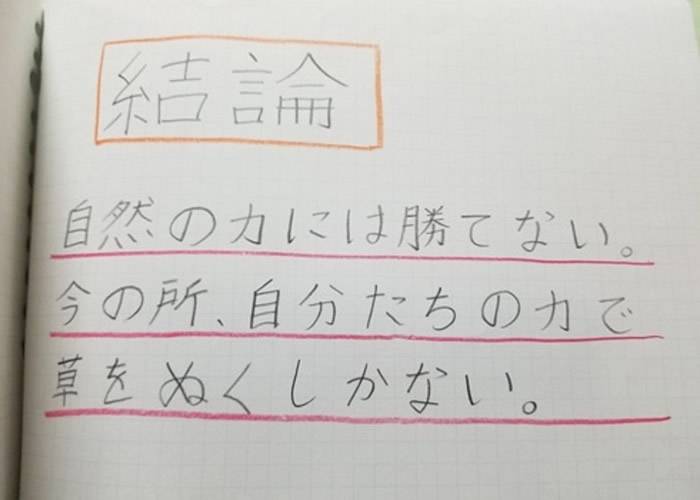 “杂草全灭大作战”！日本小男孩用4年试出践踏攻势成功除草