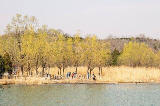 赏春  奥园周末迎游客小高峰 健身踏青保持安全距离