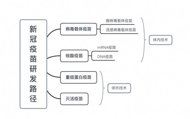 灭活、核酸、重组蛋白......这么多疫苗傻傻分不清 对新冠病毒免疫我们能