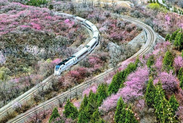 明年再约！居庸关花海栈道封闭管理