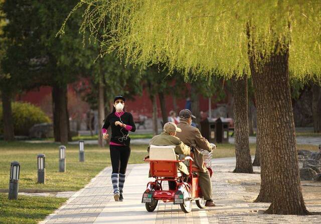 赏春 春分时节日坛踏青