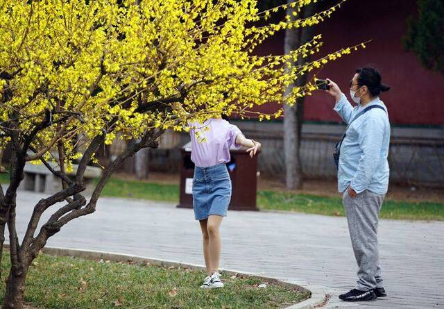 赏春 春分时节日坛踏青