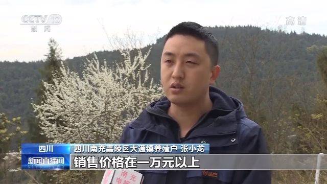 农业农村部：生猪生产出现积极信号