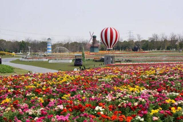 沪上又一批景区明确恢复开放时间，快收好游览指南