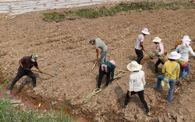 西双版纳连续干旱 养殖户关了鱼塘出去打工