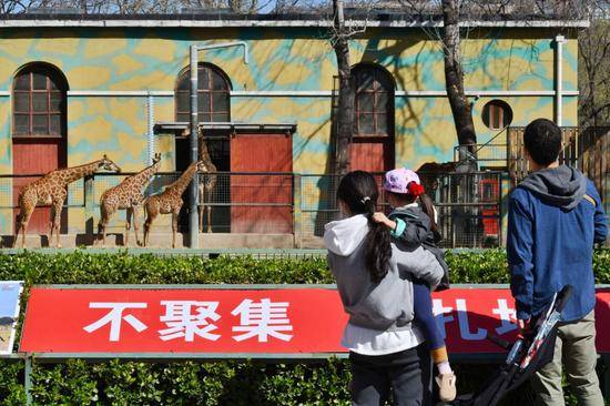 关闭58天后北京动物园今起迎客，动物们啥反应？