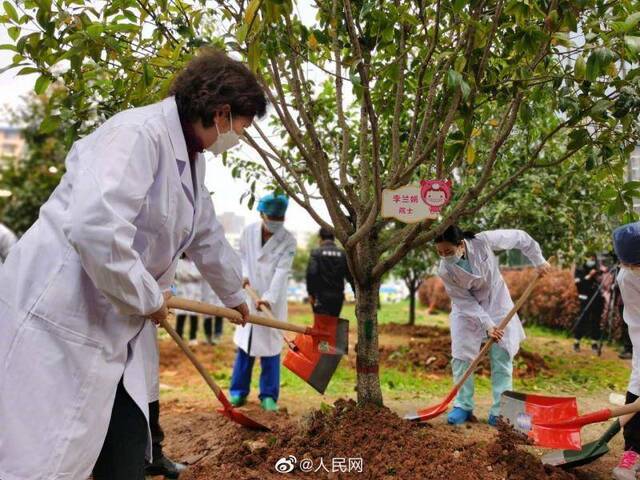 李兰娟院士在感恩林种下桂花树