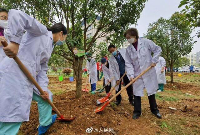 李兰娟院士在感恩林种下桂花树