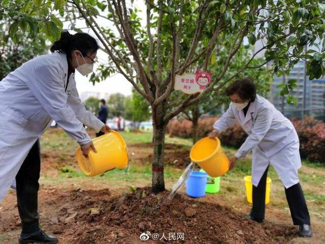 李兰娟院士在感恩林种下桂花树