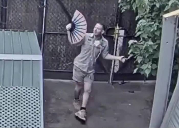 澳洲网民通过网上直播想看墨尔本动物园长颈鹿看到的却是跳舞的管理员大叔