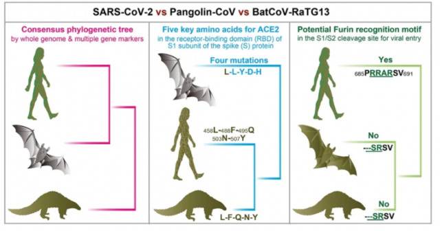 图片来源：云南大学省部共建云南生物资源保护与利用国家重点实验室