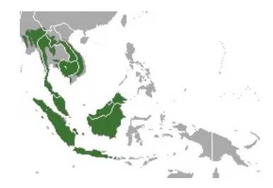 马来穿山甲（Manis javanica）地理分布。图源：https：//www.wikiwand.com/en/Sunda_pangolin