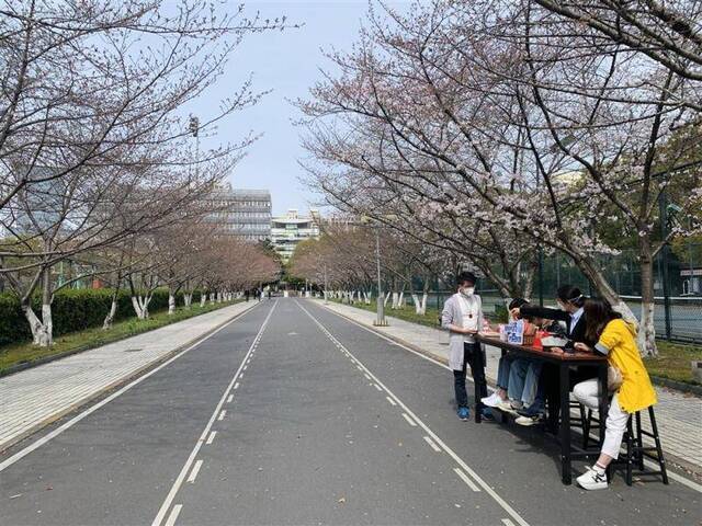 赏樱花、做青团，上海这所大学开通直播“云游校园”
