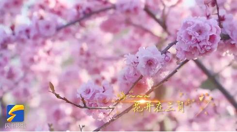 暖心沙画MV《花开三月》喜迎英雄回家