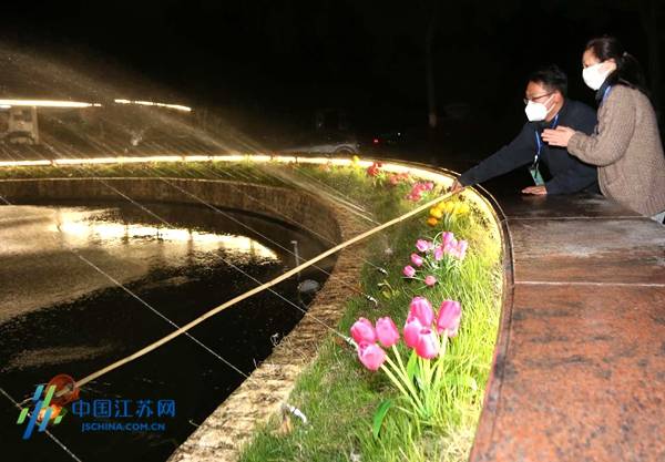 预约祭扫没时间不用怕！南京雨花功德园推出夜间祭扫服务