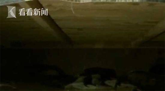 男子入室盗窃遇屋主归来 竟躲进床底睡了6个小时