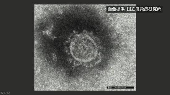 日本国内确诊新冠肺炎1314例 多地出现集体感染