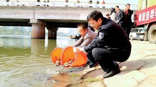 黄岩长潭水库现长约2米的奇怪大鱼 专家确认后这样说