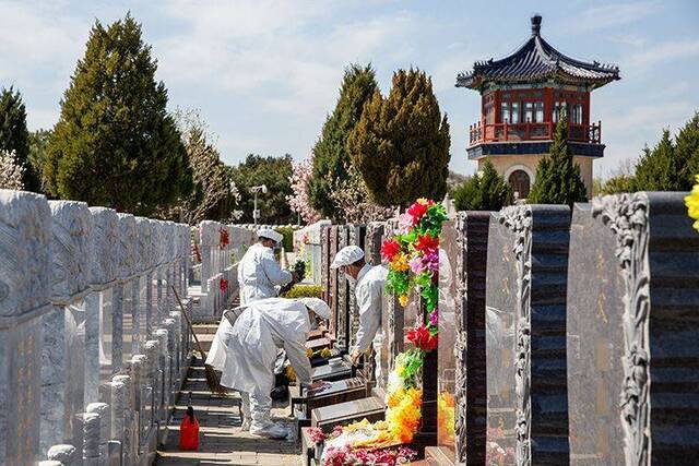 扫墓、摆花、鞠躬 代为祭扫服务成为较多市民清明的选择