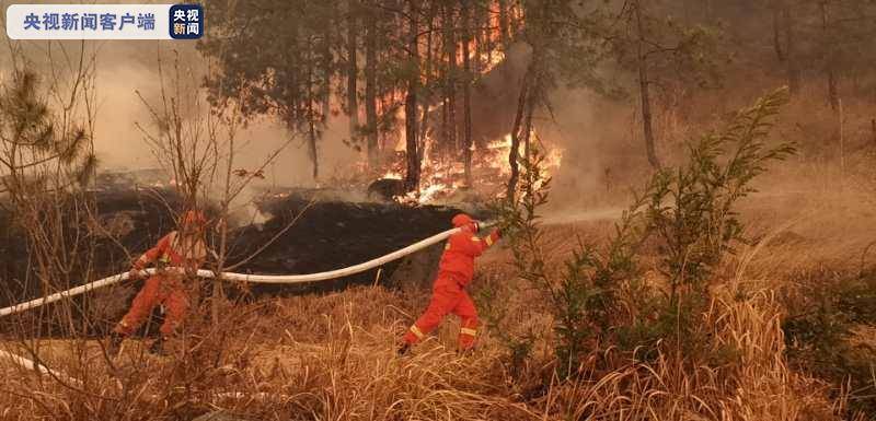 云南香格里拉突发两起森林火灾 800余人紧急扑救