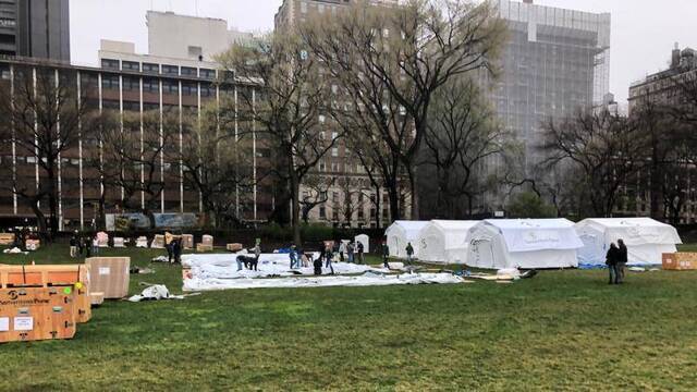 纽约中央公园正在搭建帐篷图自：社交媒体