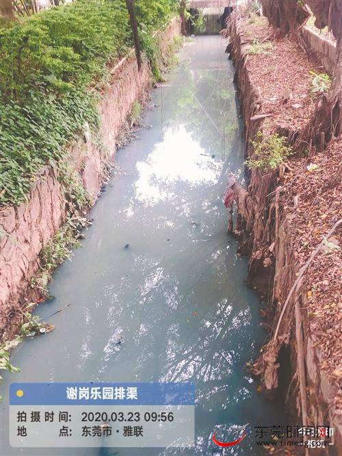 东莞市水污染治理现场指挥部：发现多条河涌存在水面漂浮物