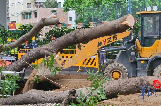 广州排水：东晓南路地陷为雨水冲刷所致 正在回填