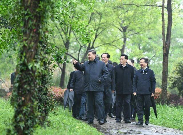 习近平考察杭州湿地保护和城市治理情况