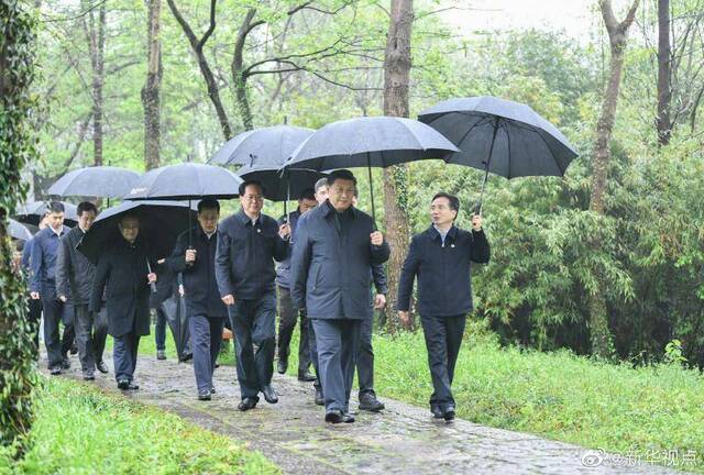 习近平考察杭州湿地保护和城市治理情况