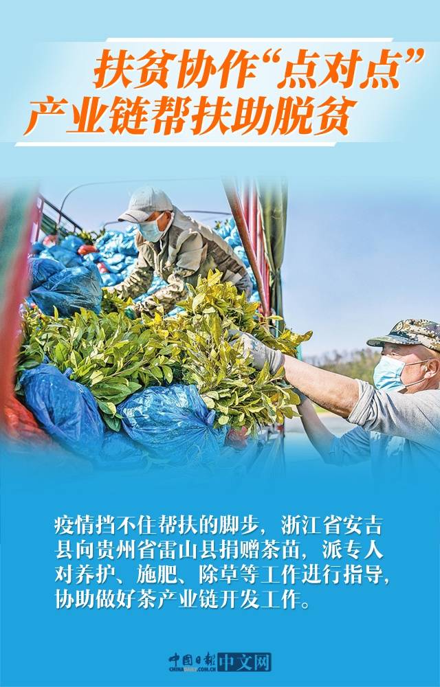 各地齐发力！疫情不减中国脱贫攻坚信心