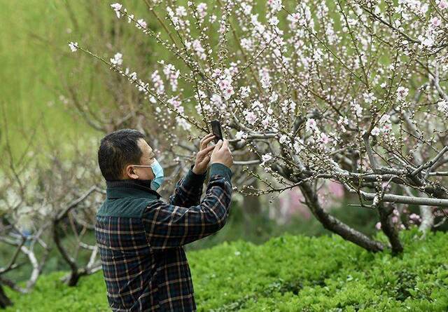 赏春｜春暖花开 公园健身赏花两不误