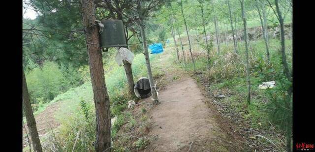 给收音机遮雨的塑料桶张杨摄