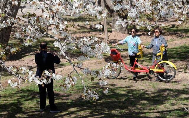 甘肃乡村旅游年接待量超1亿人次 收入约340亿元