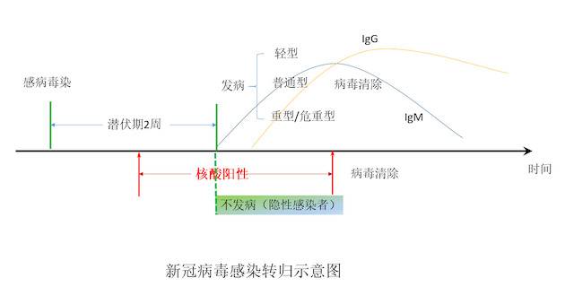 超千例尚在医学观察，无症状感染者数据为何有增有减？